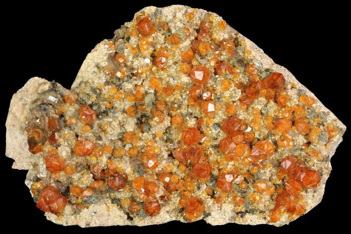 Spessartine Garnet, Smoky Quartz & Mica on Feldspar - China #93641